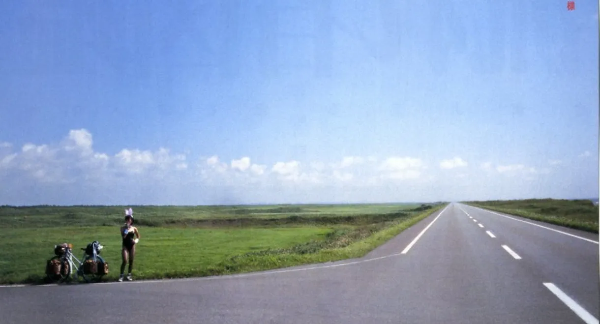 Encyclopedia of a Drifter