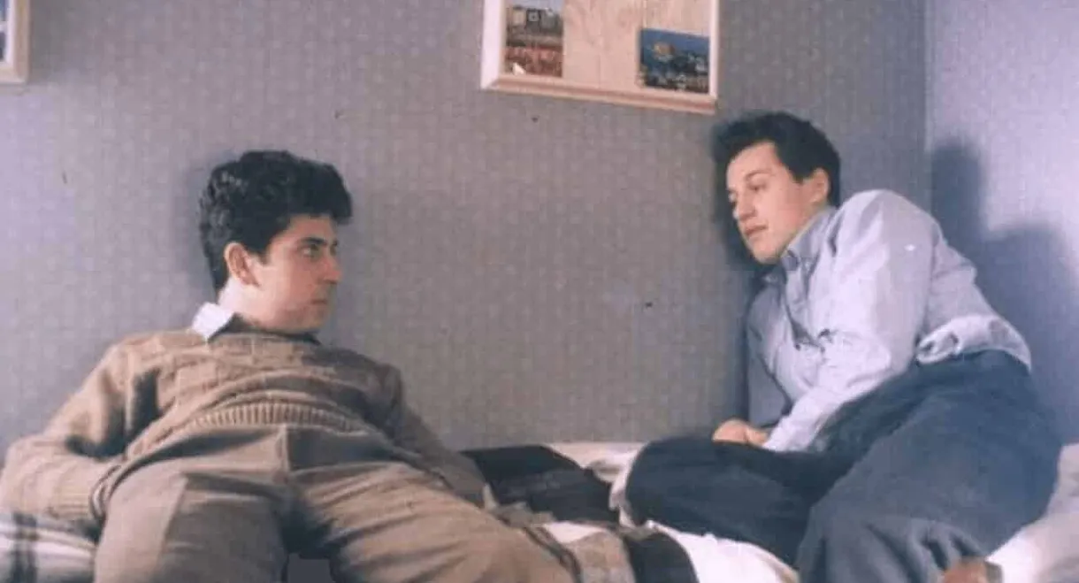 Brothers and Sisters