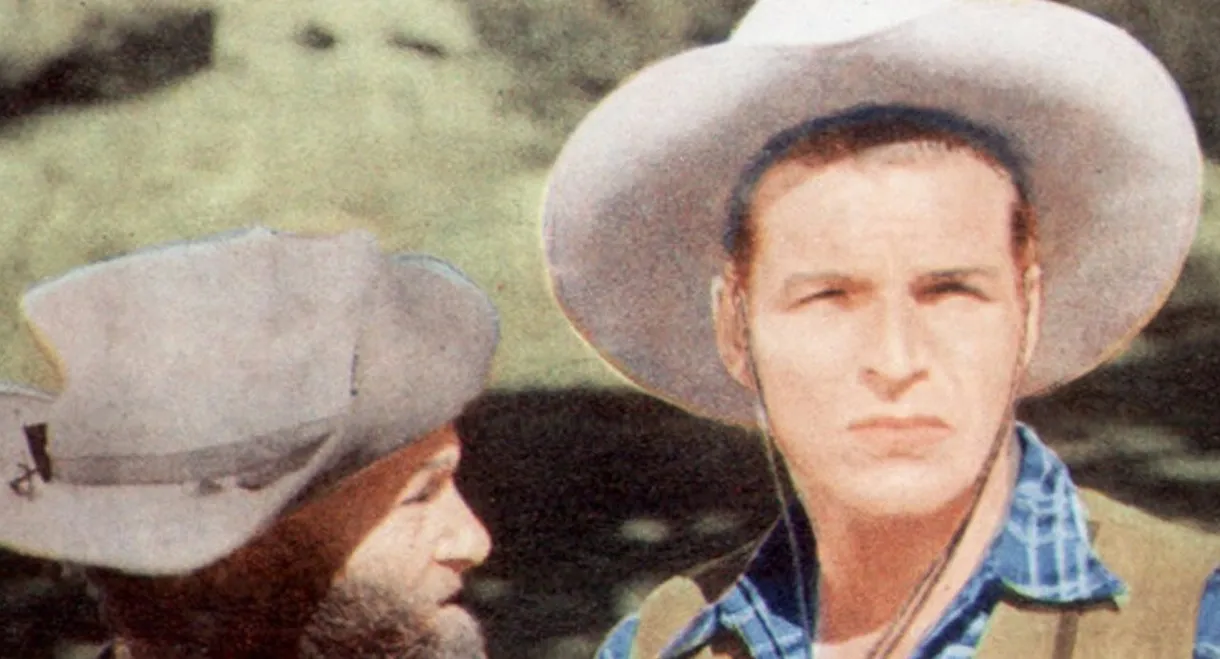 Terrors on Horseback