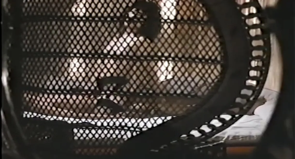 Groper Train: Start at the Back