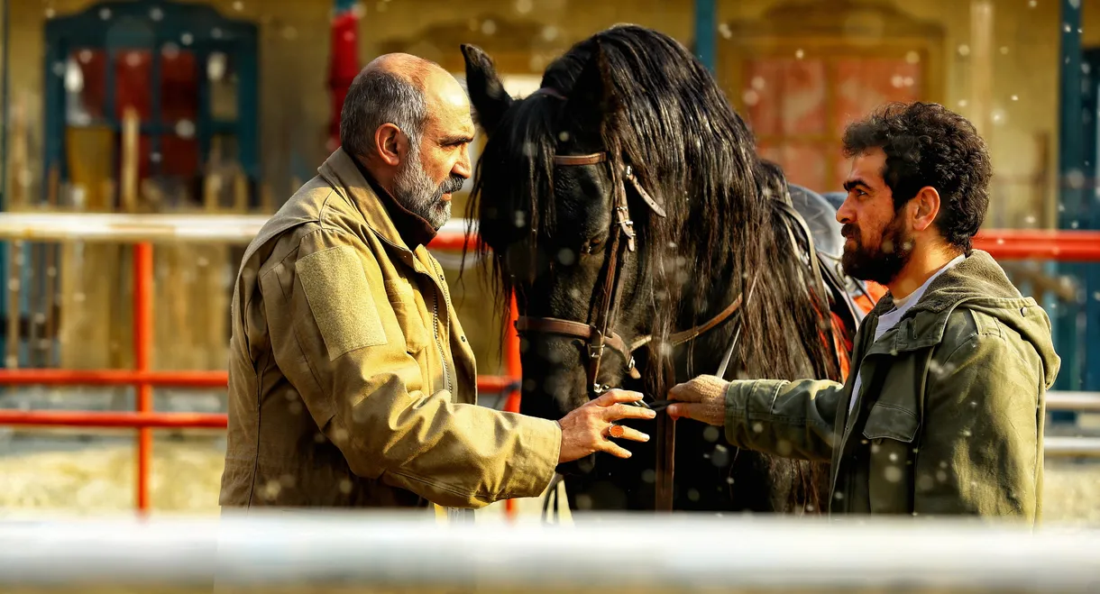 Guardian of the Field