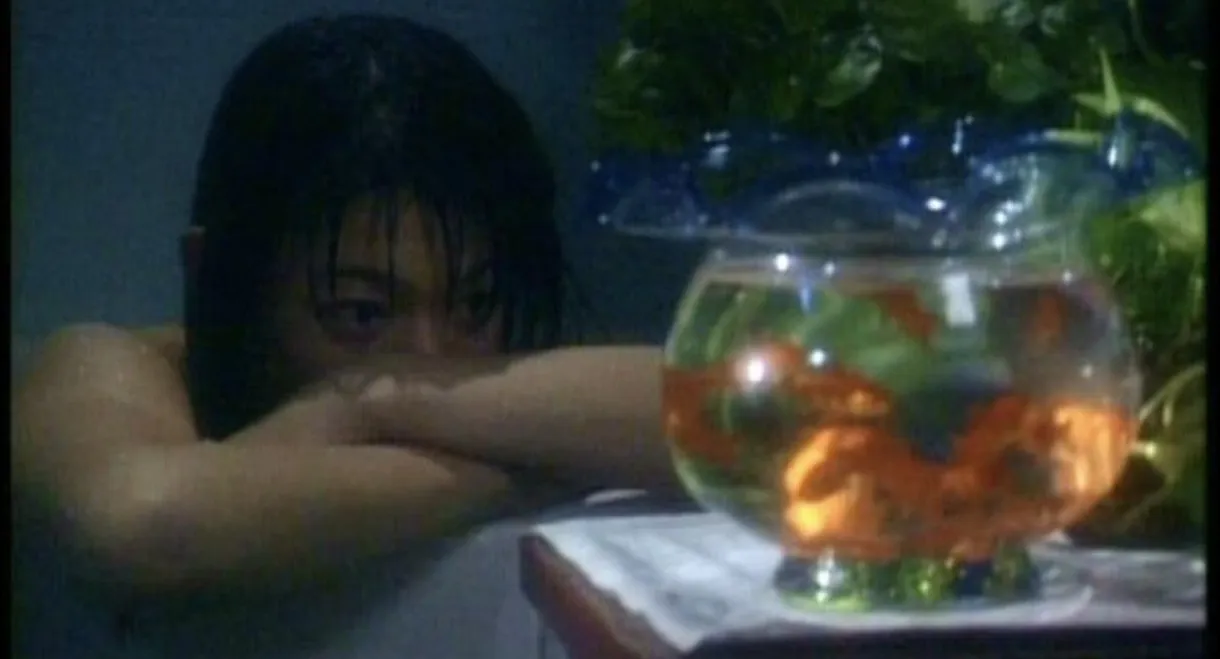 Zero Woman: Dangerous Game