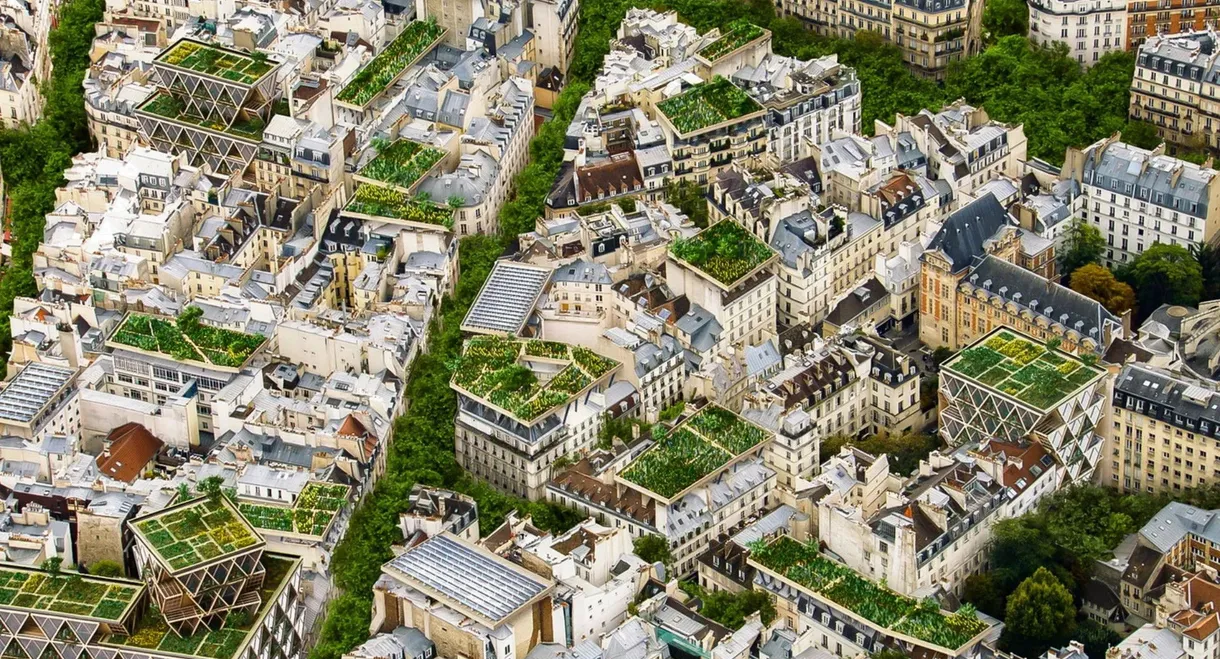 France, il était une fois demain