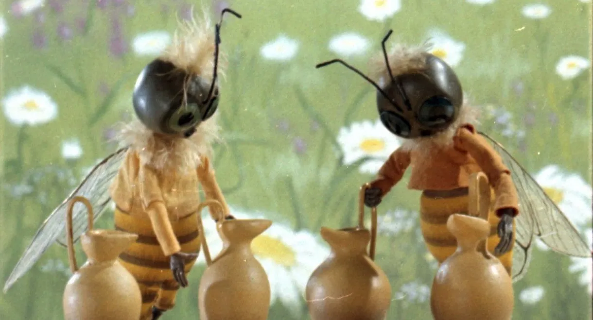 City of Honey Masters