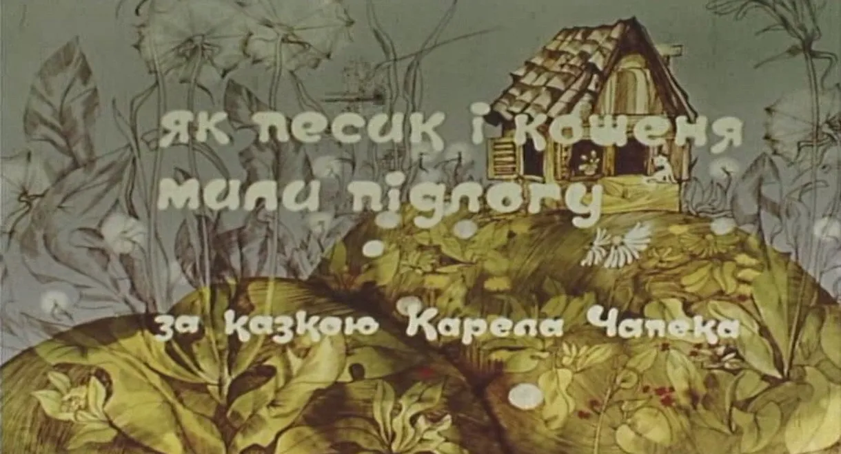 How The Cat And The Dog Washed The Floor