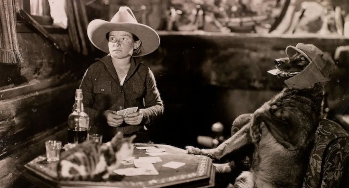 The Hound of Silver Creek