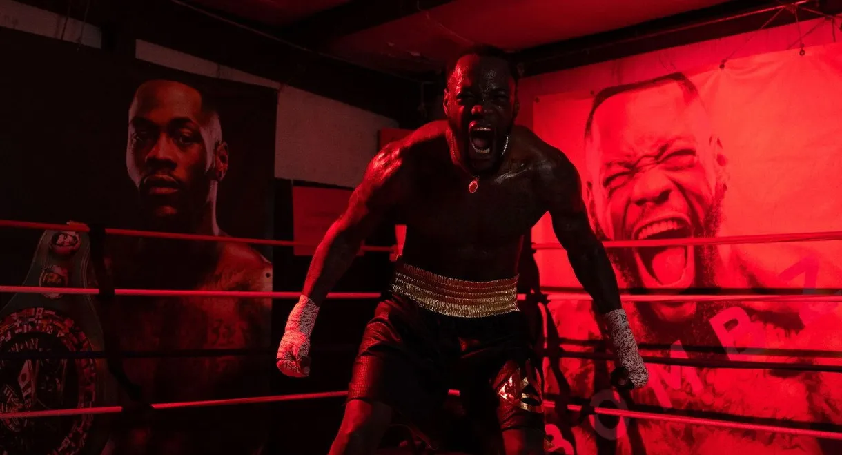 Deontay Wilder vs. Tyrrell Herndon