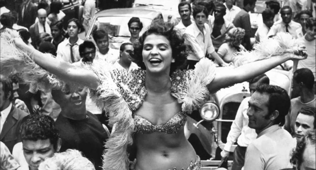 Já que Ninguém me Tira Para Dançar