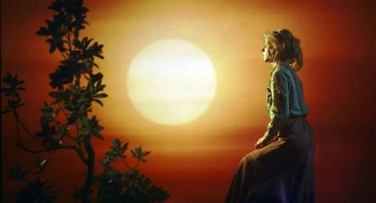 The Prince Beyond the Seven Seas