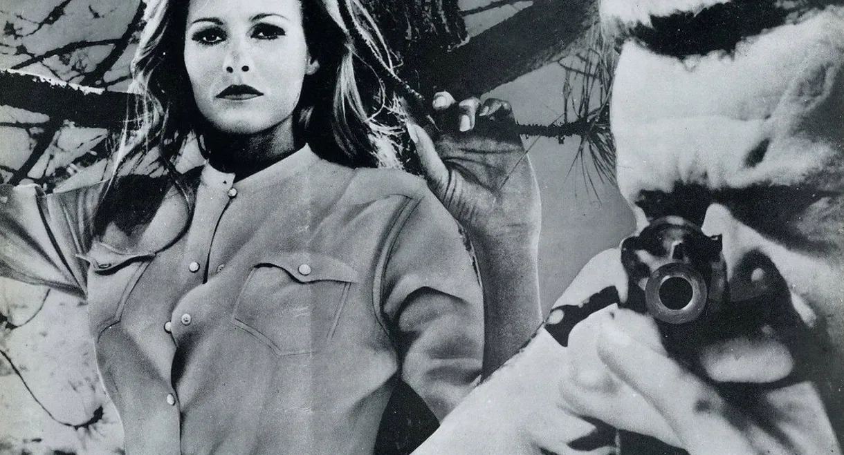 Nightmare in the Sun