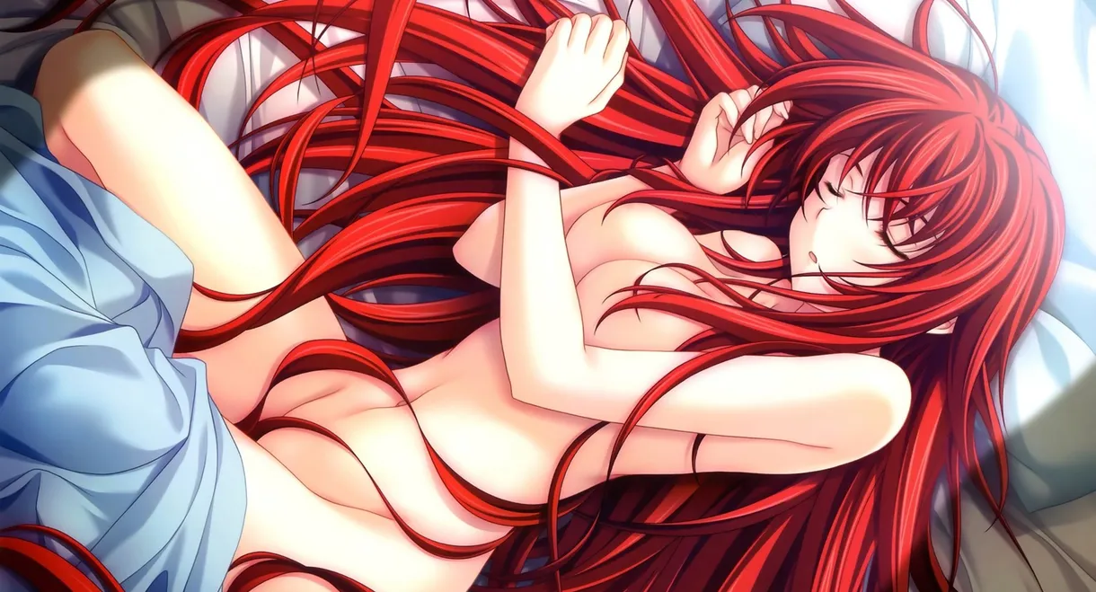 High School DxD