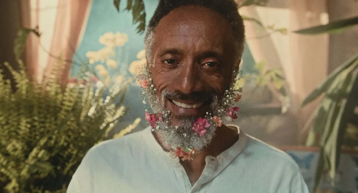 The Gentle Flutter of the Butterflies