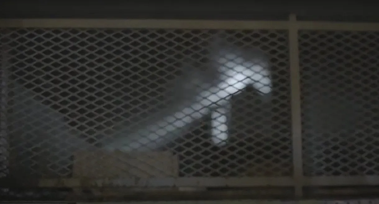 Érase una vez en Virreyes