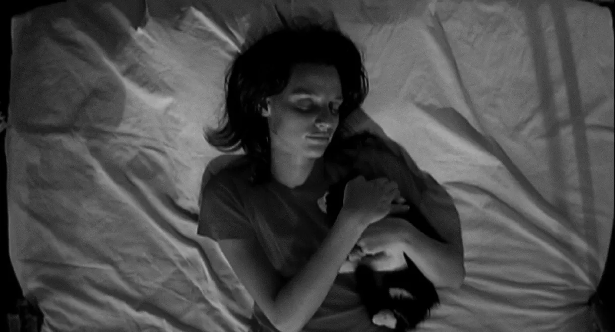 Still Looking for Morphine