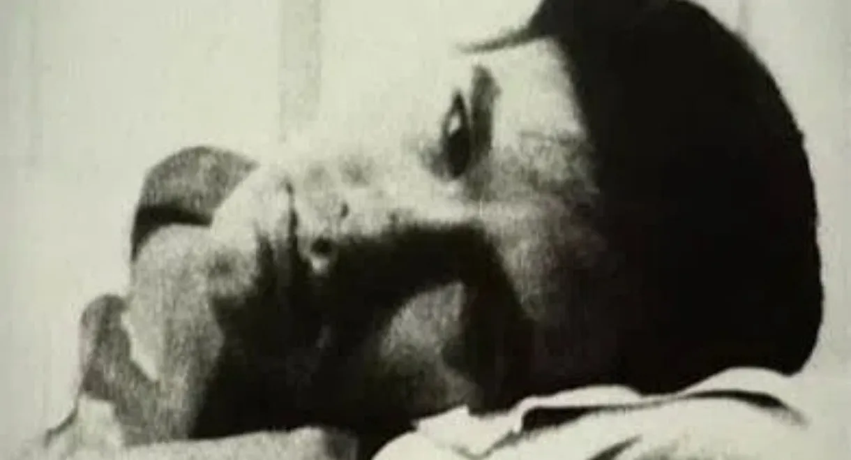 Vies et morts d'Andy Warhol