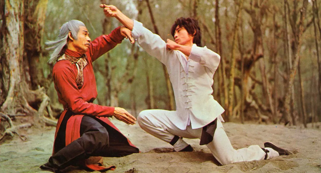 Shaolin Kung Fu Master