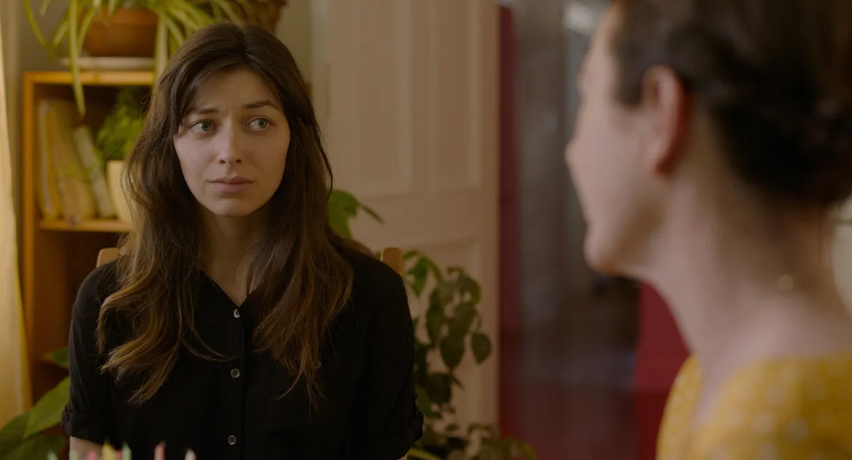 1805 A Butterfly Drive