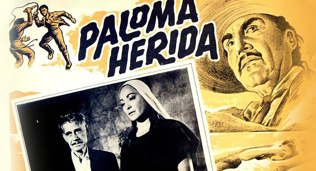 Paloma herida