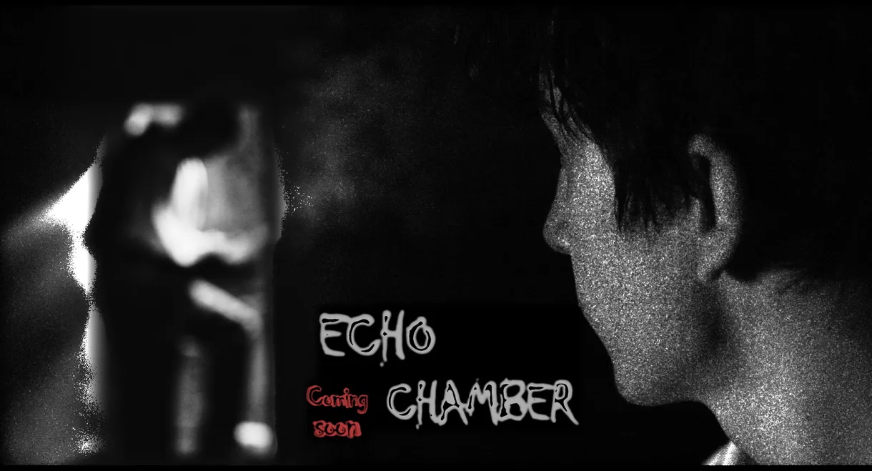 Echo Chamber