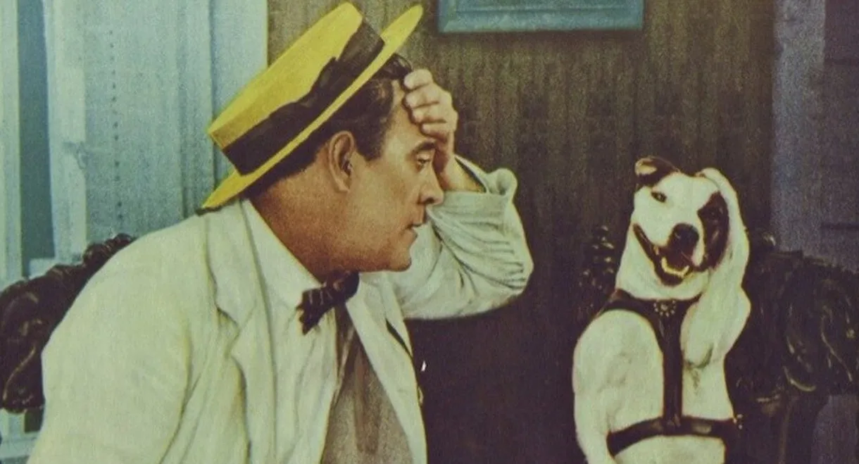 The Golden Age of Comedy