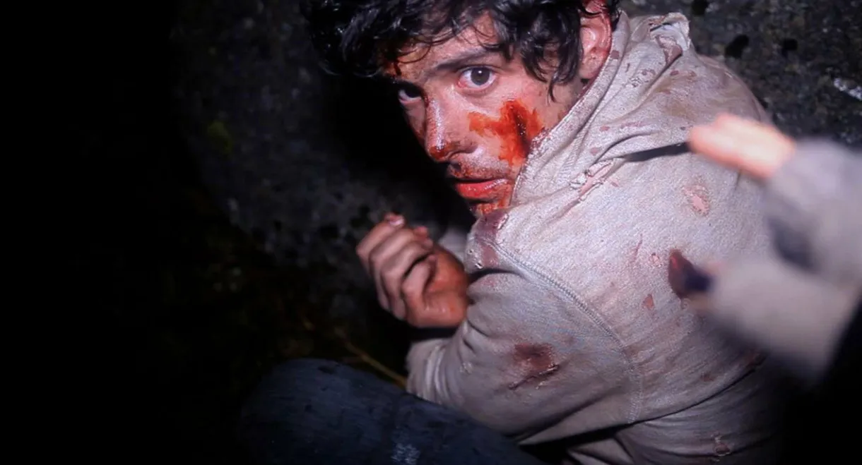 A Night in the Woods