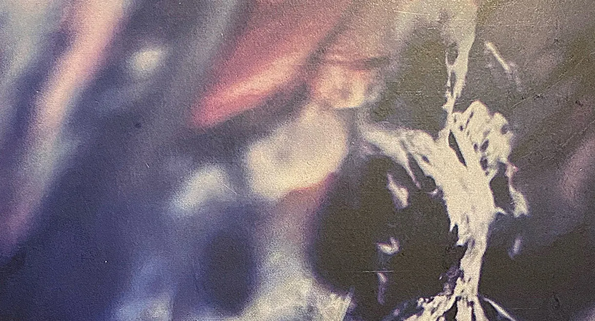 Karin Bloemen: Bosje Bloemen