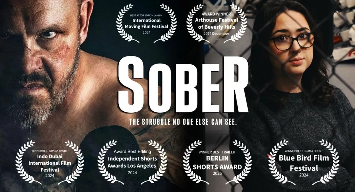 Sober: The Struggle No One Else Can See
