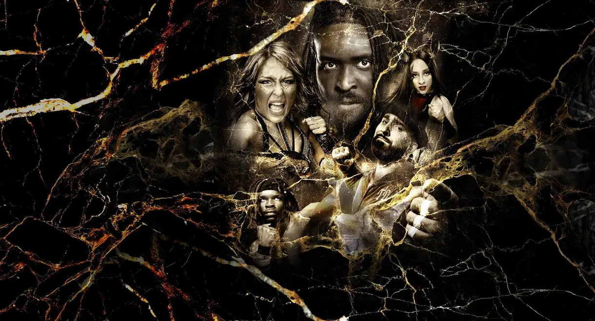 NXT Vengeance Day 2025
