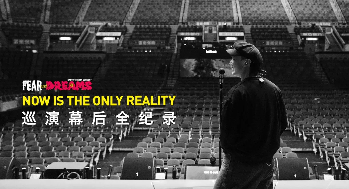 FEAR and DREAMS: NOW is the only reality