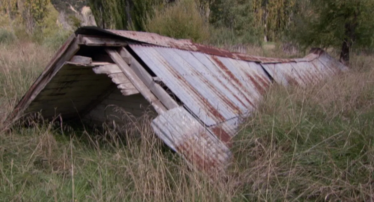 Saving Grace - Te Whakarauora Tangata