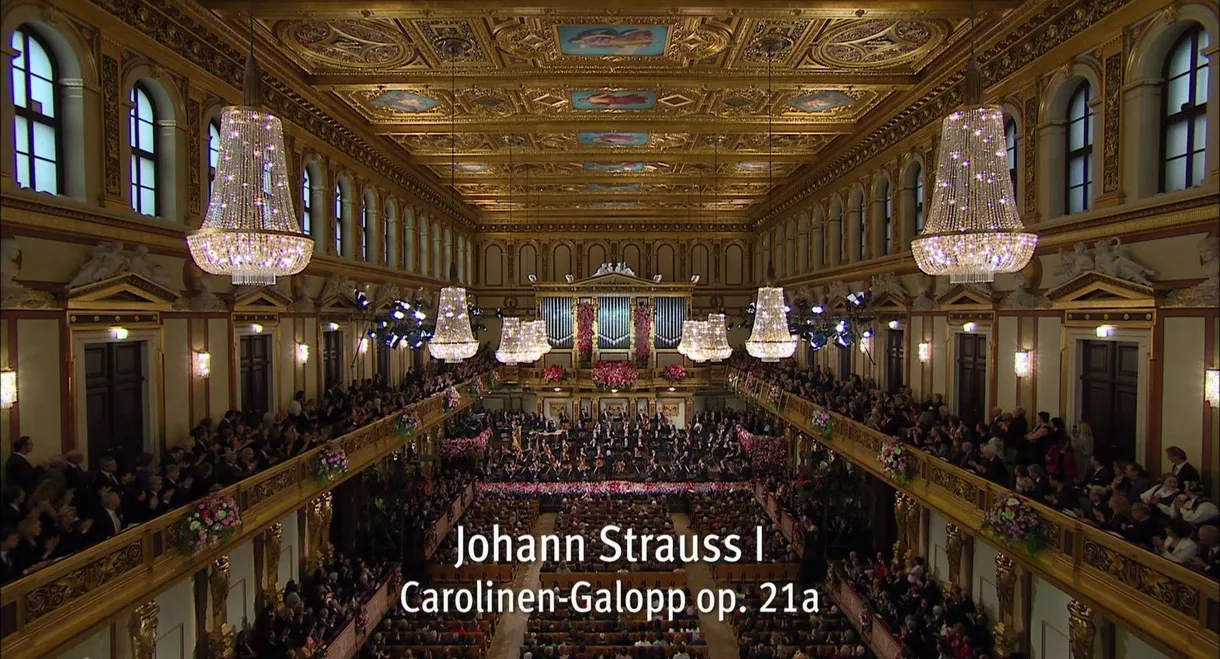 New Year's Concert 2014