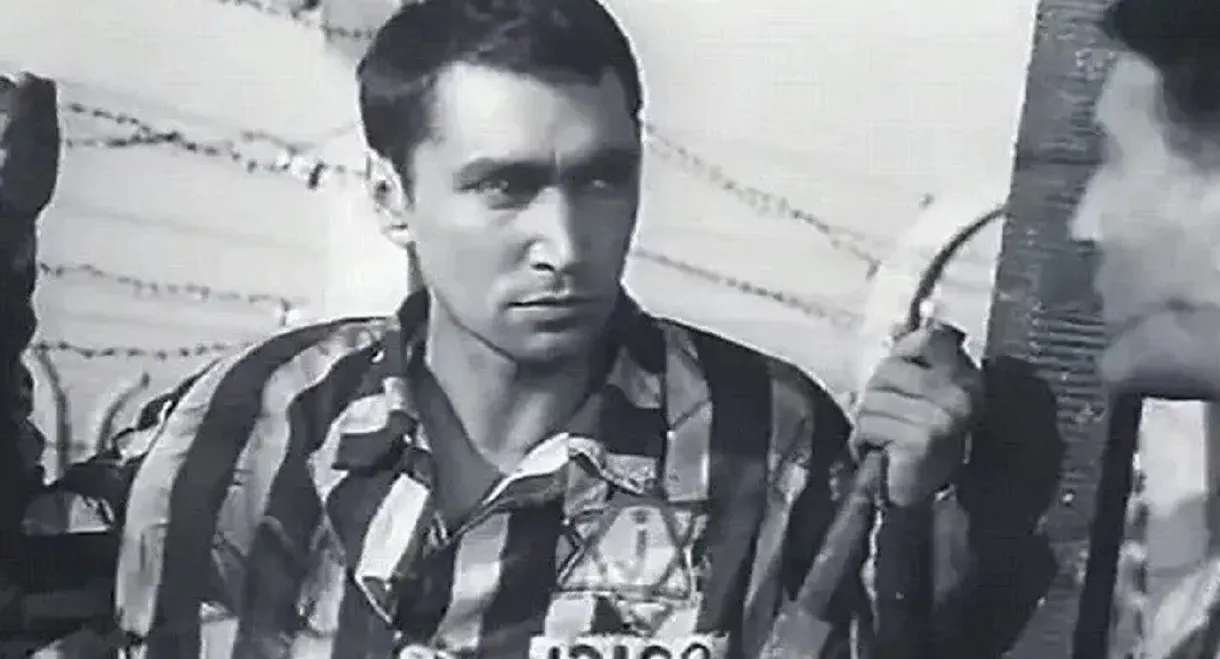 Sons of the Fatherland