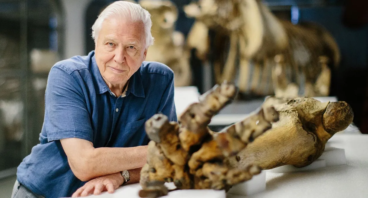 Attenborough and the Giant Elephant