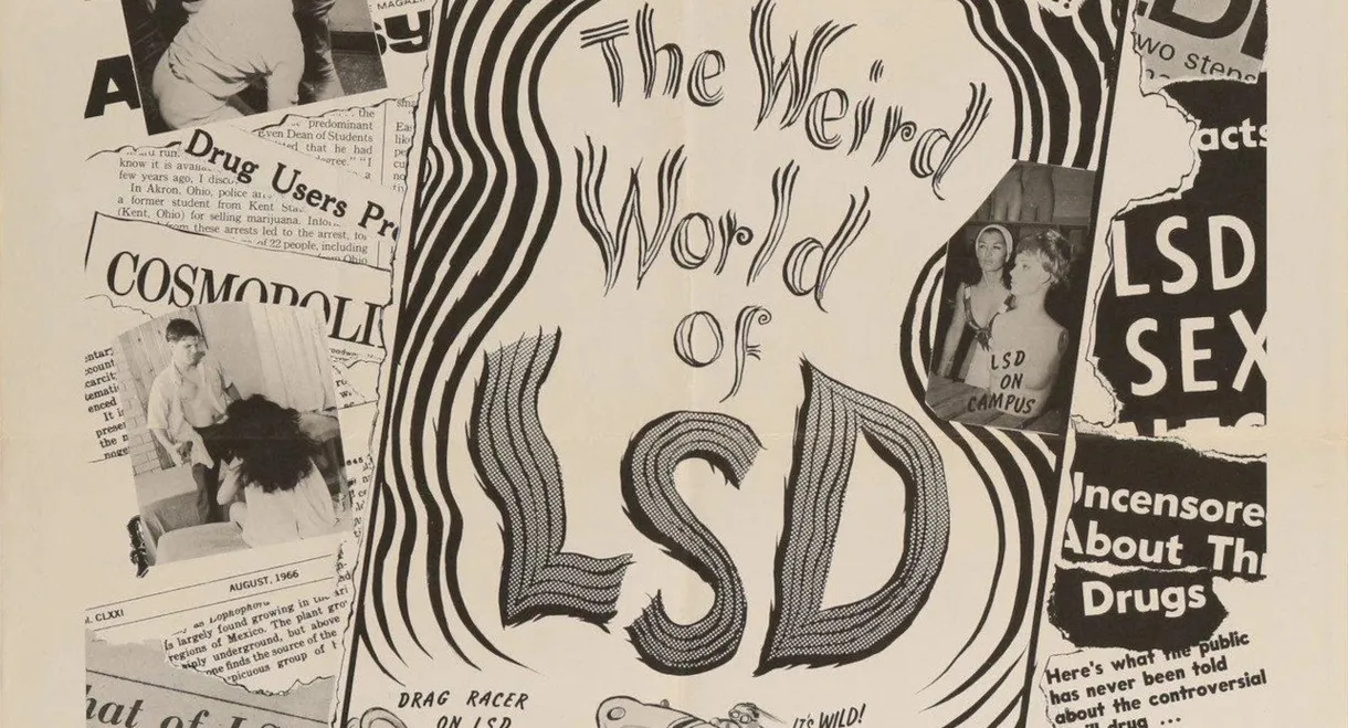 The Weird World of LSD