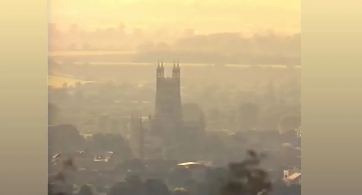 Stars In A Dark Night