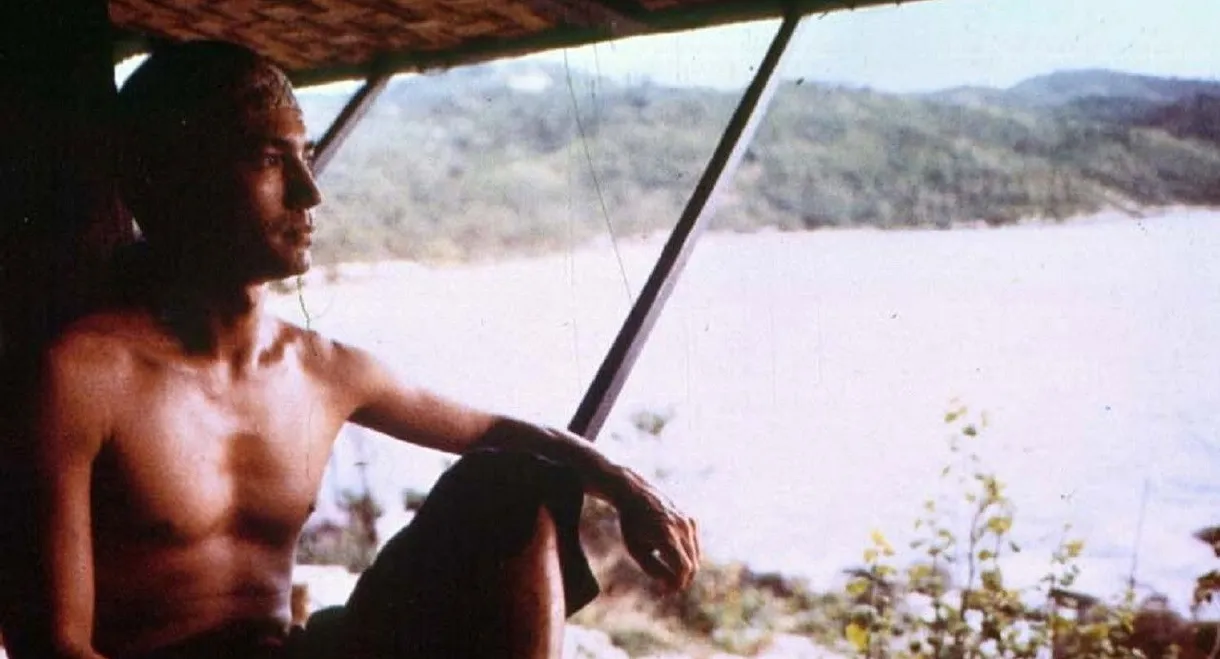 Shadows of the Peacock