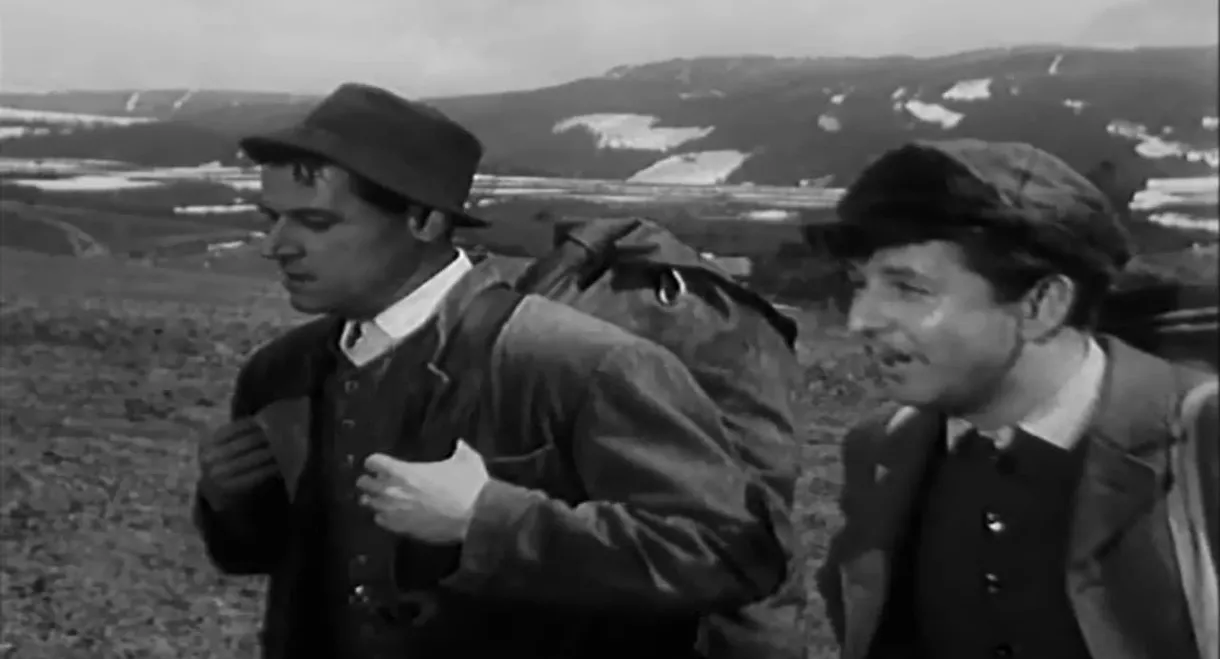 Sons of the Mountains