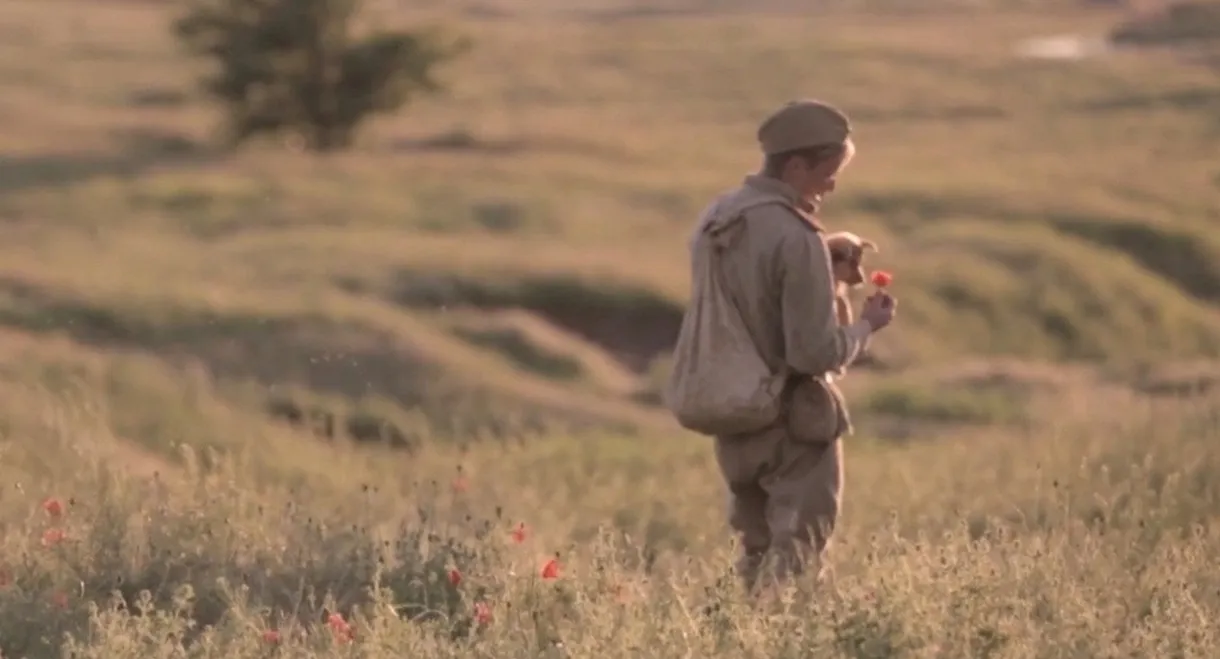 Последствия войны