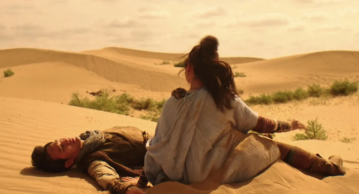 The Guardians of Zhu Yin