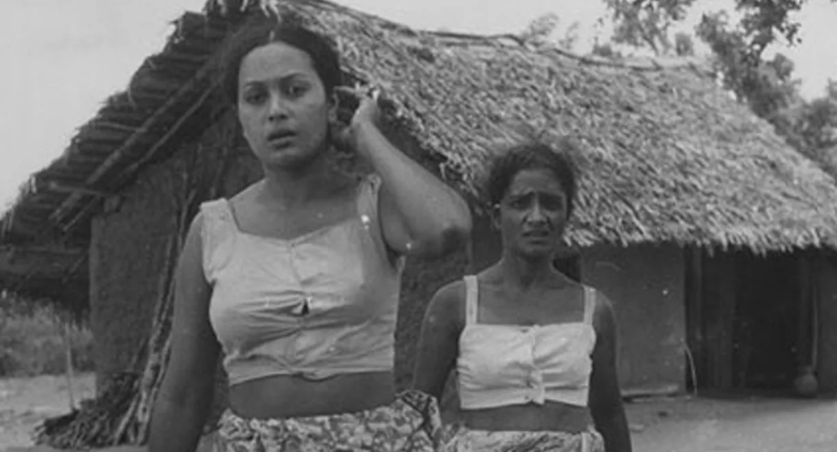 Village in the Jungle