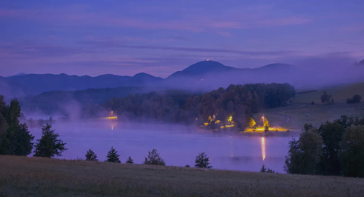 Birds of the Lakes Return