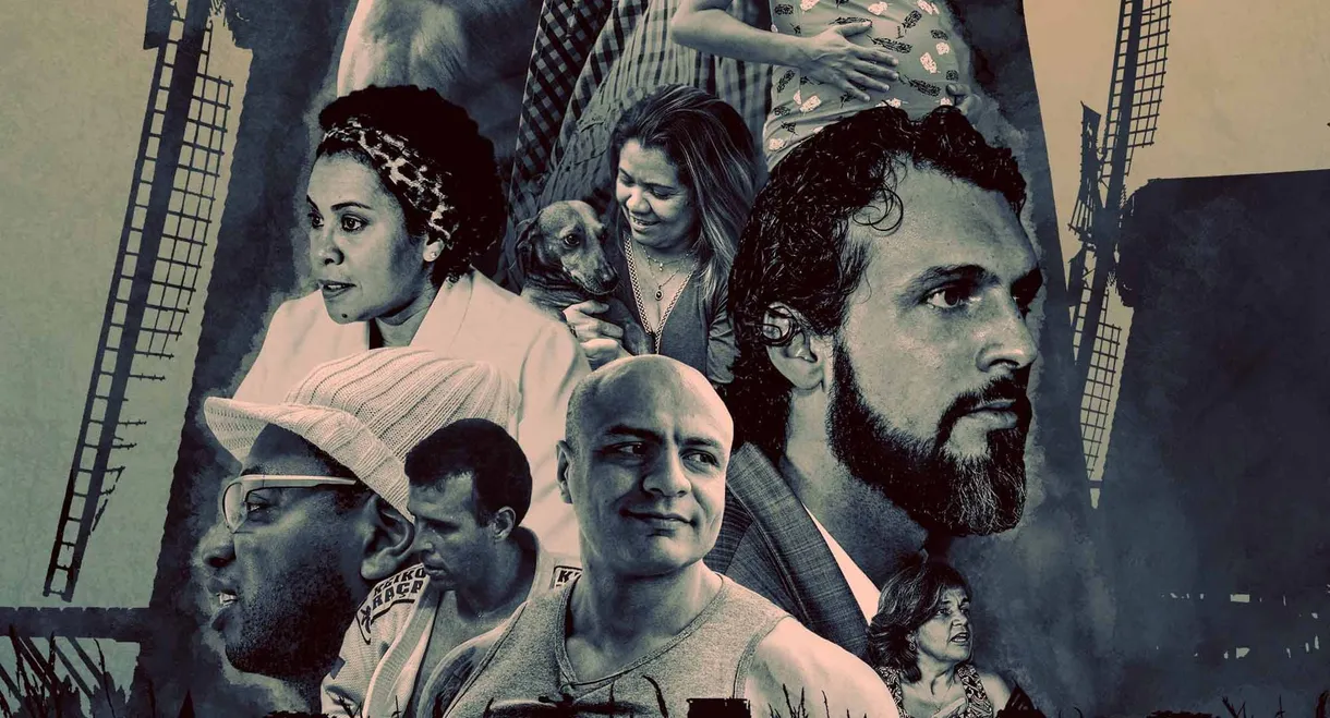 O Diário de Lidwina