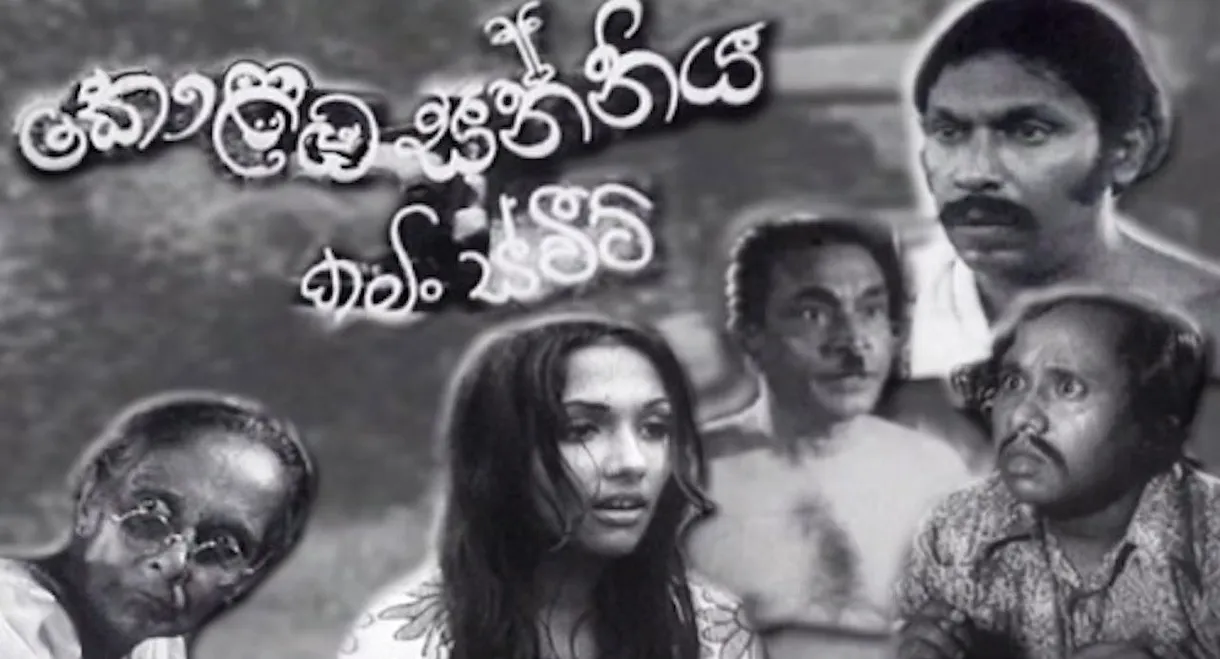 Kolomba Sanniya: Coming Sweet