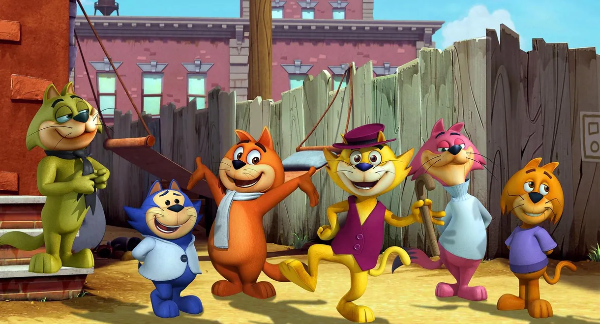 Top Cat Begins