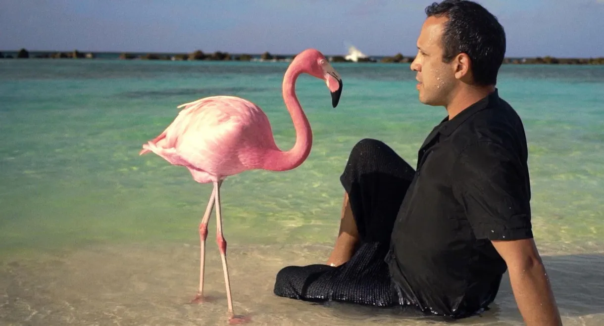 The Mystery of the Pink Flamingo