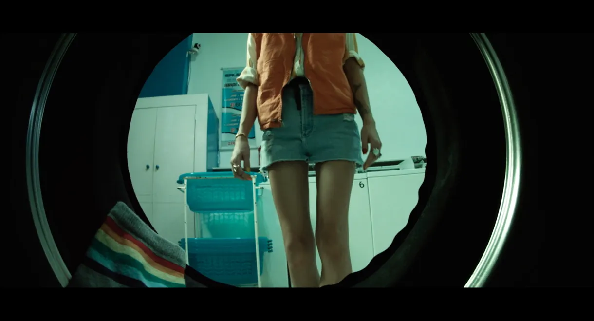 Hammer, Anvil, Stapes