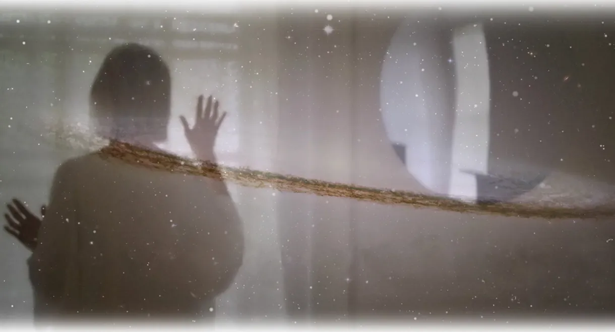 Parallel Dreams