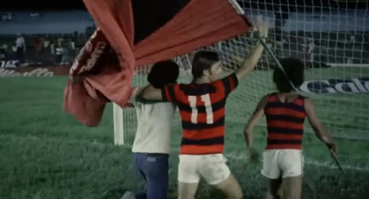 Flamengo Paixão
