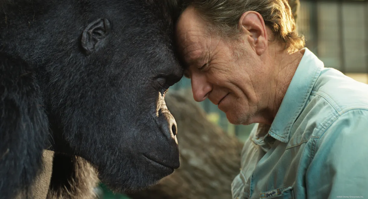 The One and Only Ivan