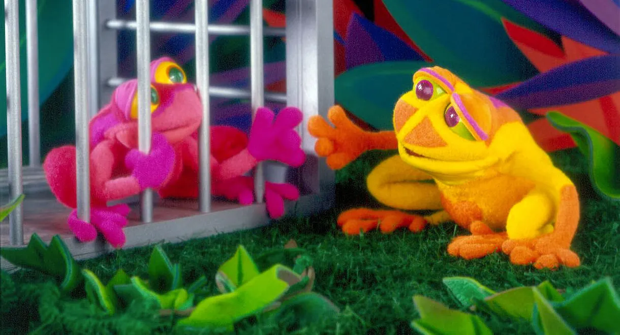 The Song of the Cloud Forest